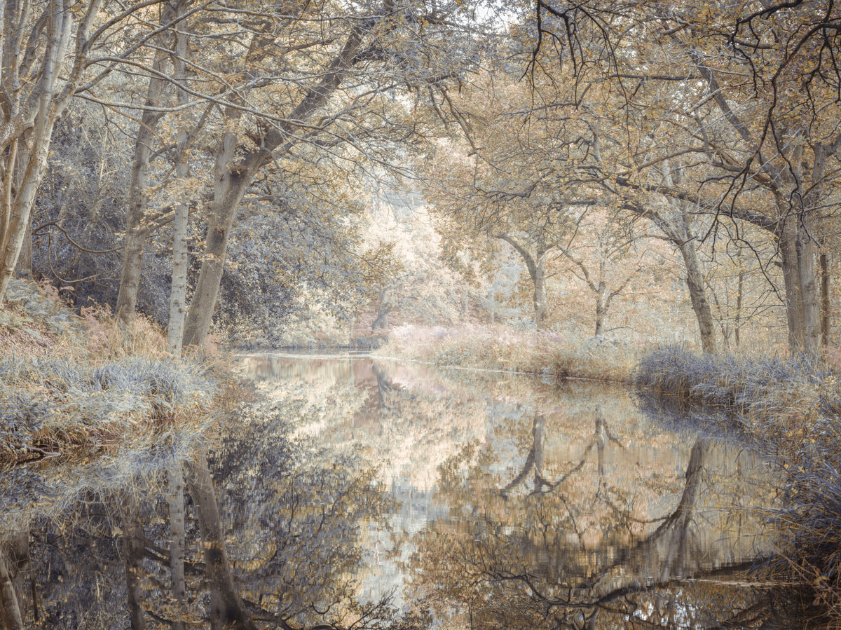Whispering Waters Wall Mural in your room