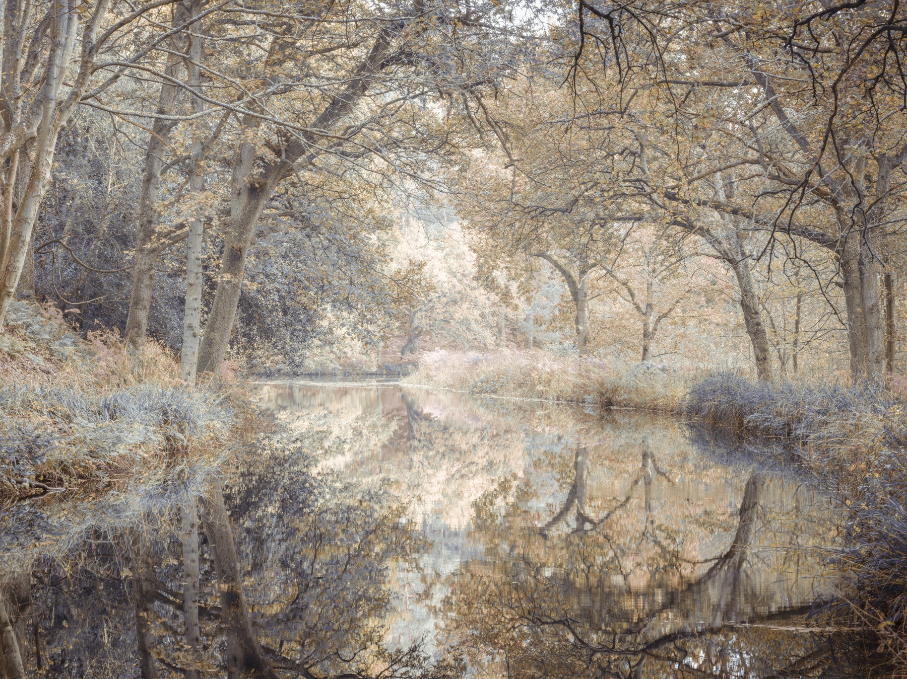 Whispering Waters Wall Mural