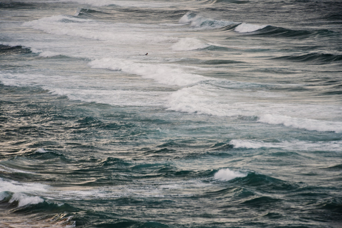Winter Surfing V Wall Mural in your room