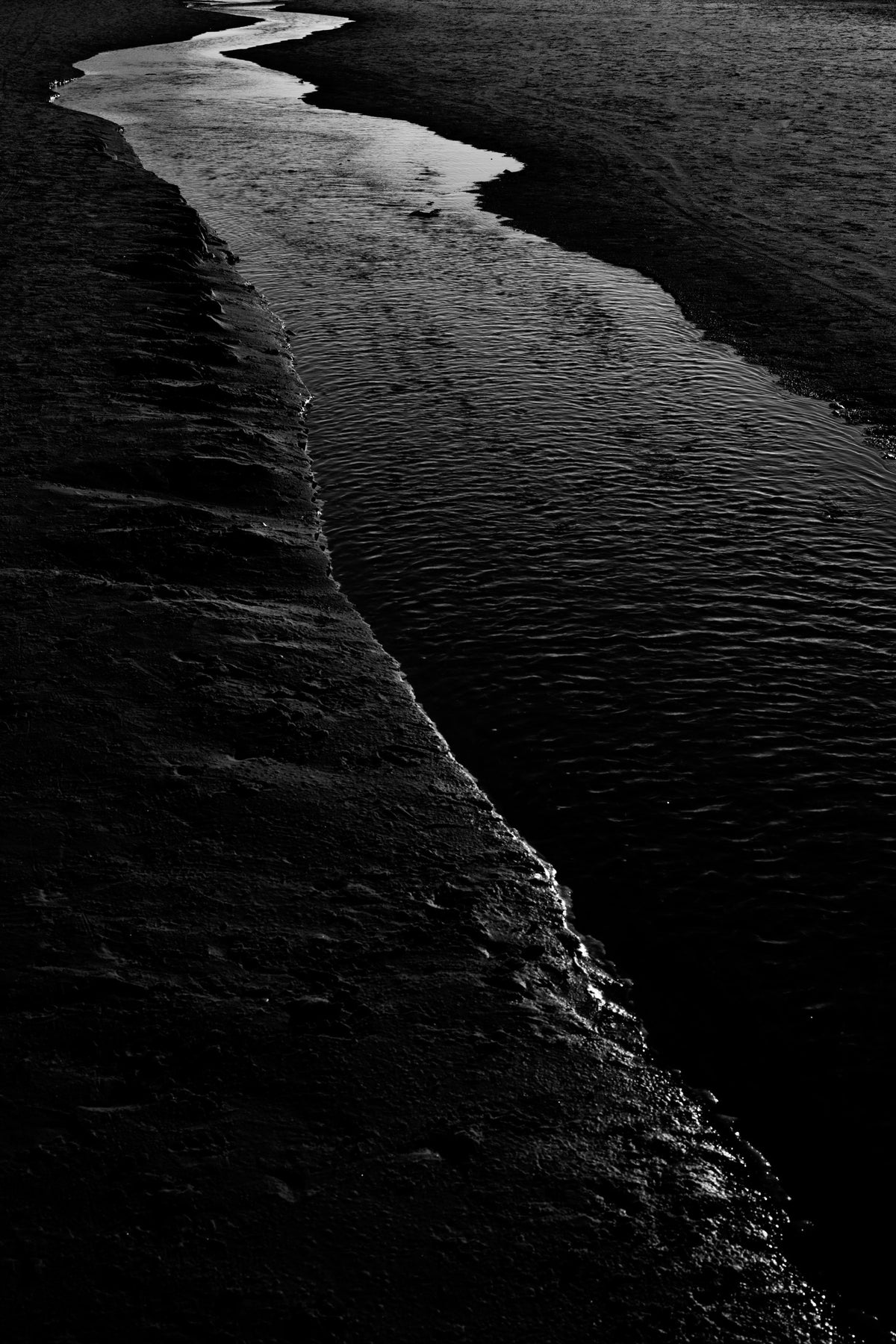 Dark River I Wall Mural in your room