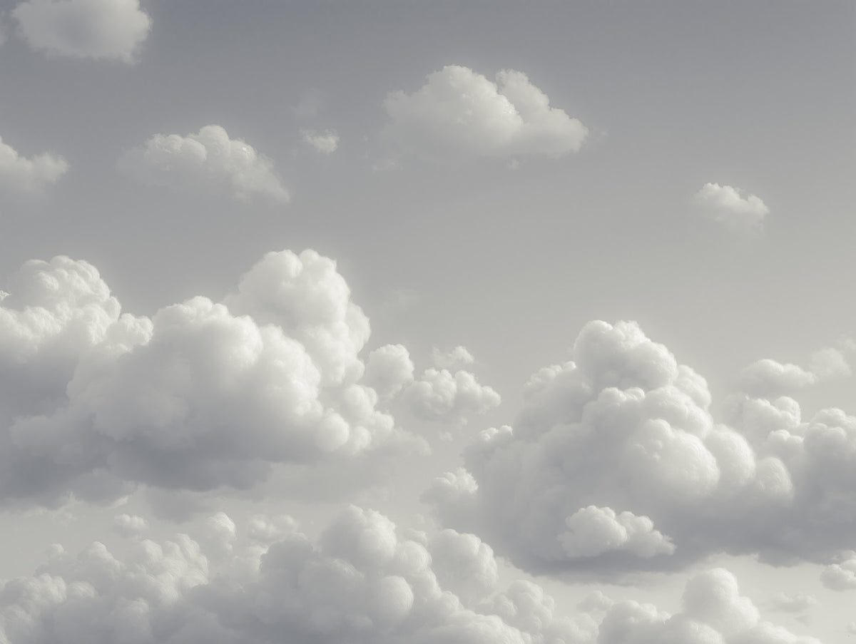 Dreamy Cloud Canvas Dancer Mural in your room — zoomed