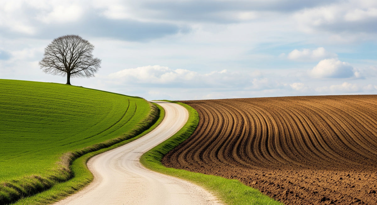 Rural Curve Wall Mural in your room