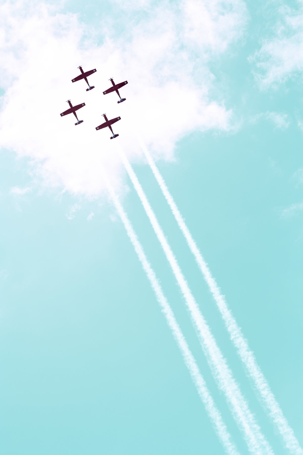 Vintage IAF XIII Wall Mural in your room — zoomed