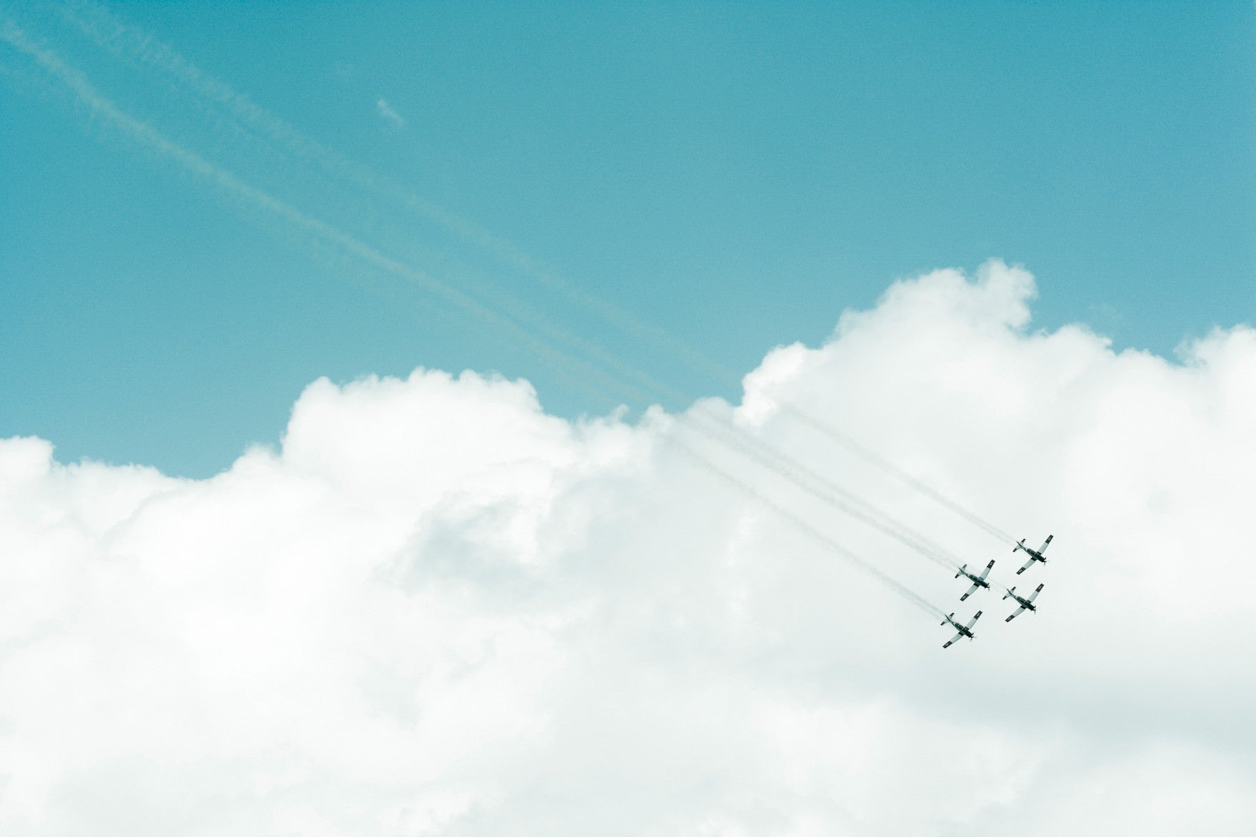 Aerial Show III Wall Mural