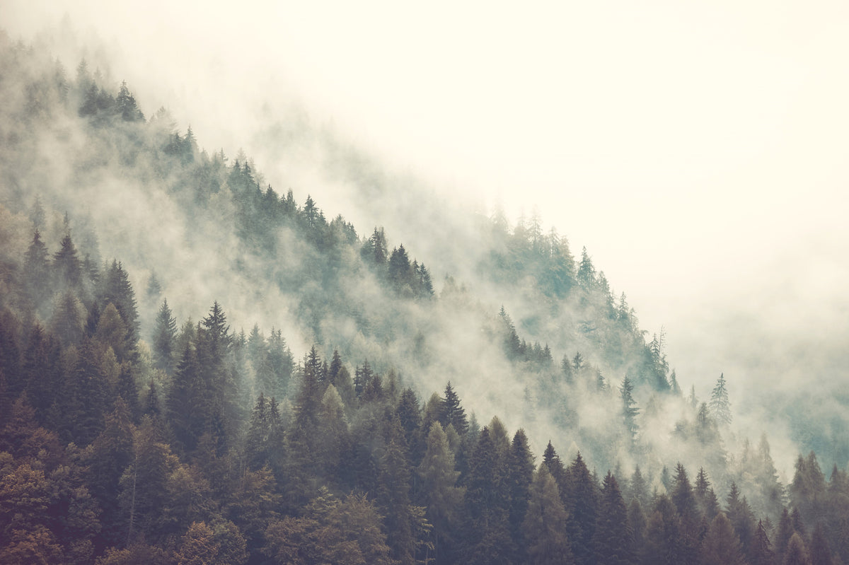 Misty Mountainside Wall Mural in your room