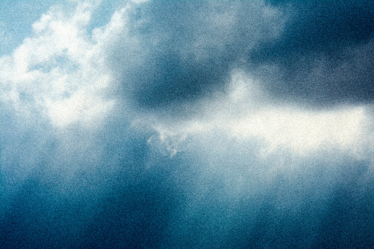 Rain Wall Mural in your room — zoomed