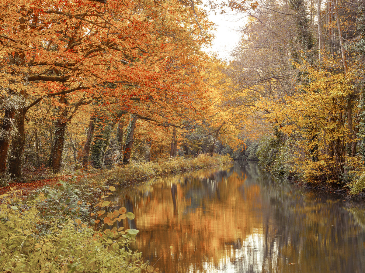 Autumnal River Serenity Wall Mural