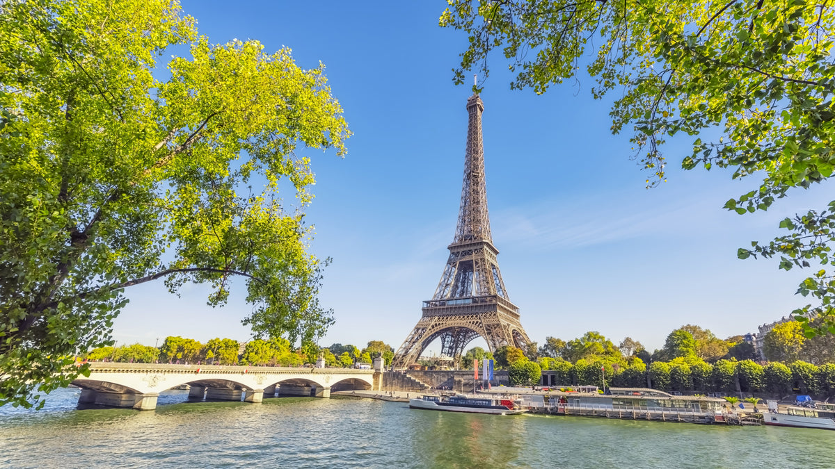 Parisian Majesty Wall Mural in your room