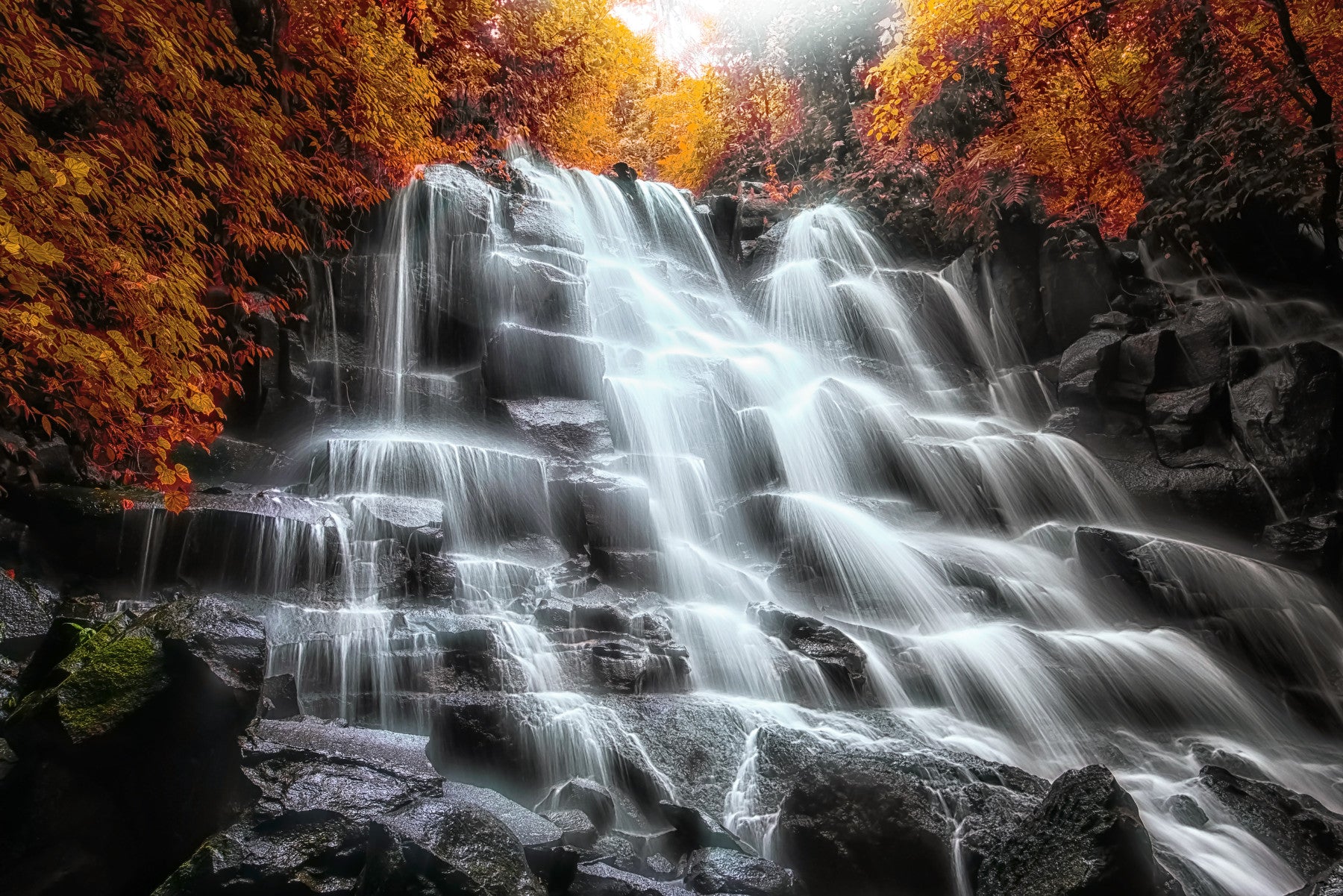 Autumn Cascade Wall Mural