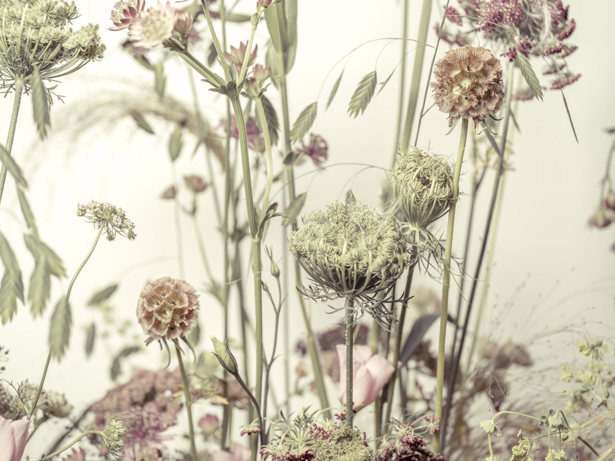 Wildflower Waltz Wall Mural in your room