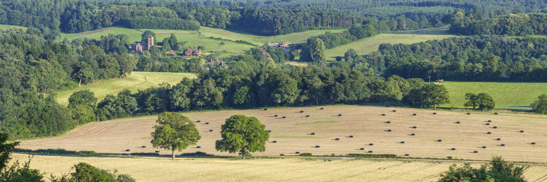Rolling Hills Harmony Wall Mural