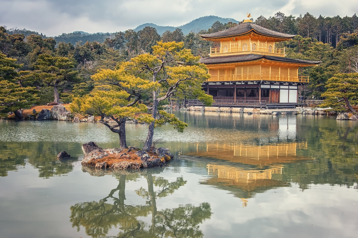 Golden Temple Calm Wall Mural in your room — zoomed