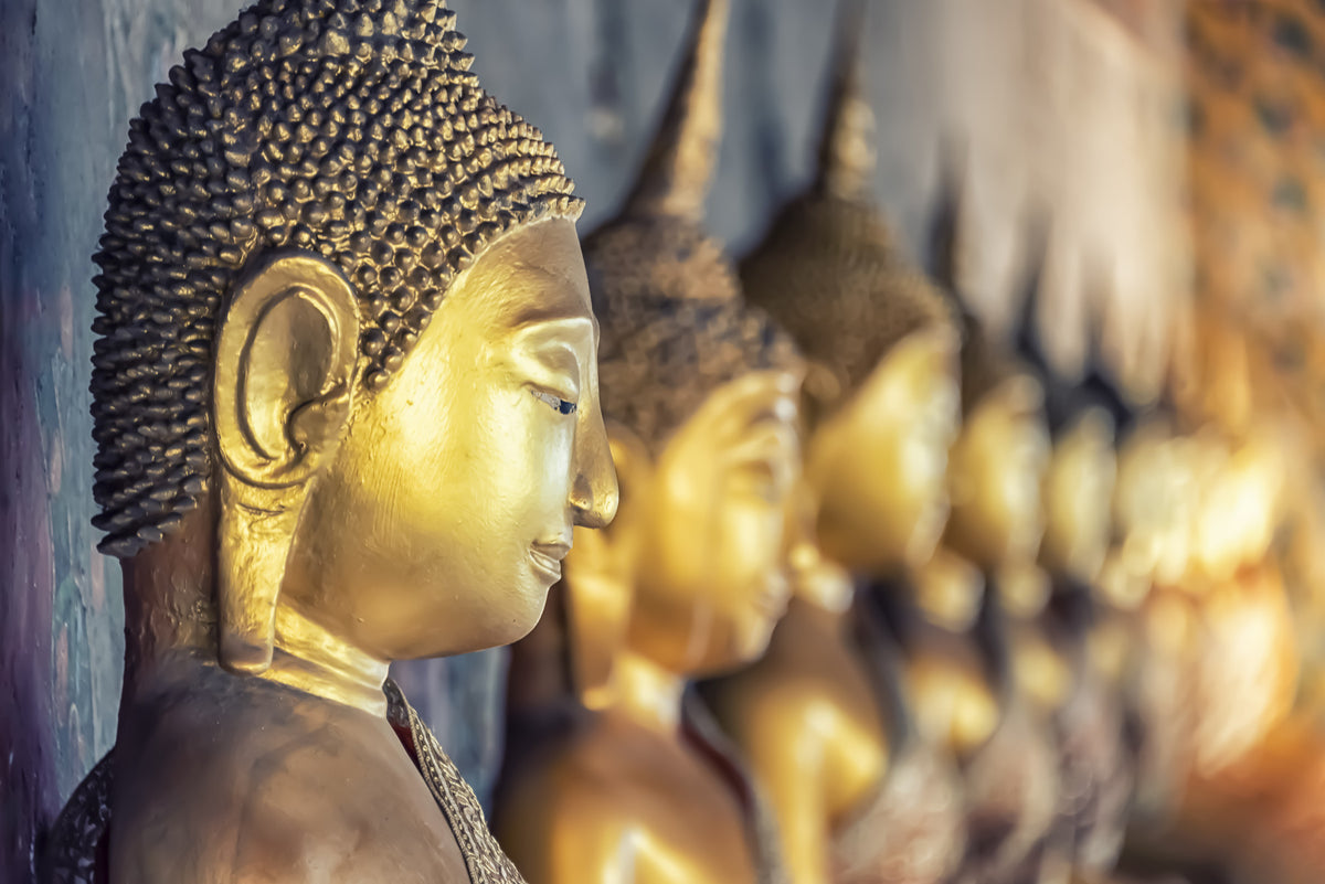 Buddha's Golden Gaze Wall Mural in your room — zoomed
