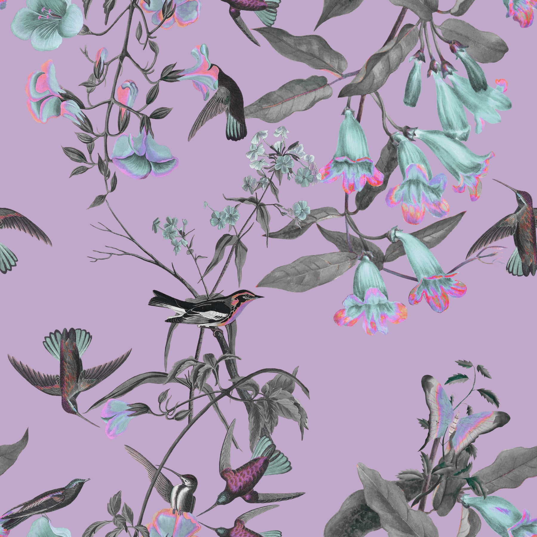 Flora & Feather Fantasy Wallpaper⁠