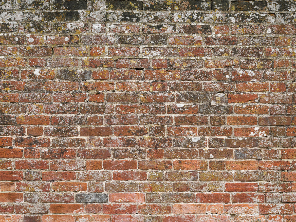 Classic Red Brick Look Wall Mural in your room