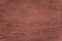 A calming terracotta pattern wallpaper mural that defines a space.

