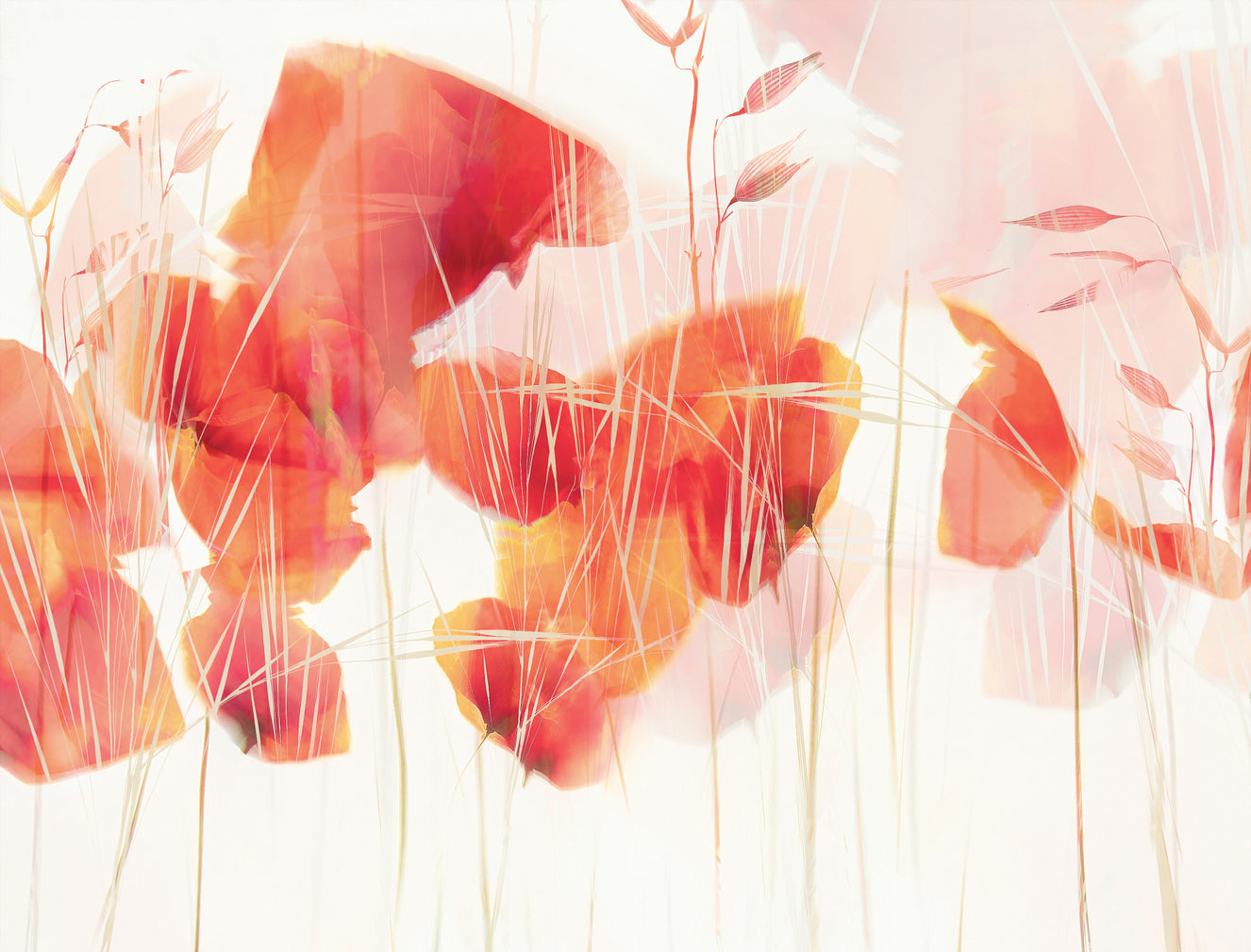 Blush Blooms Wall Mural -2537579