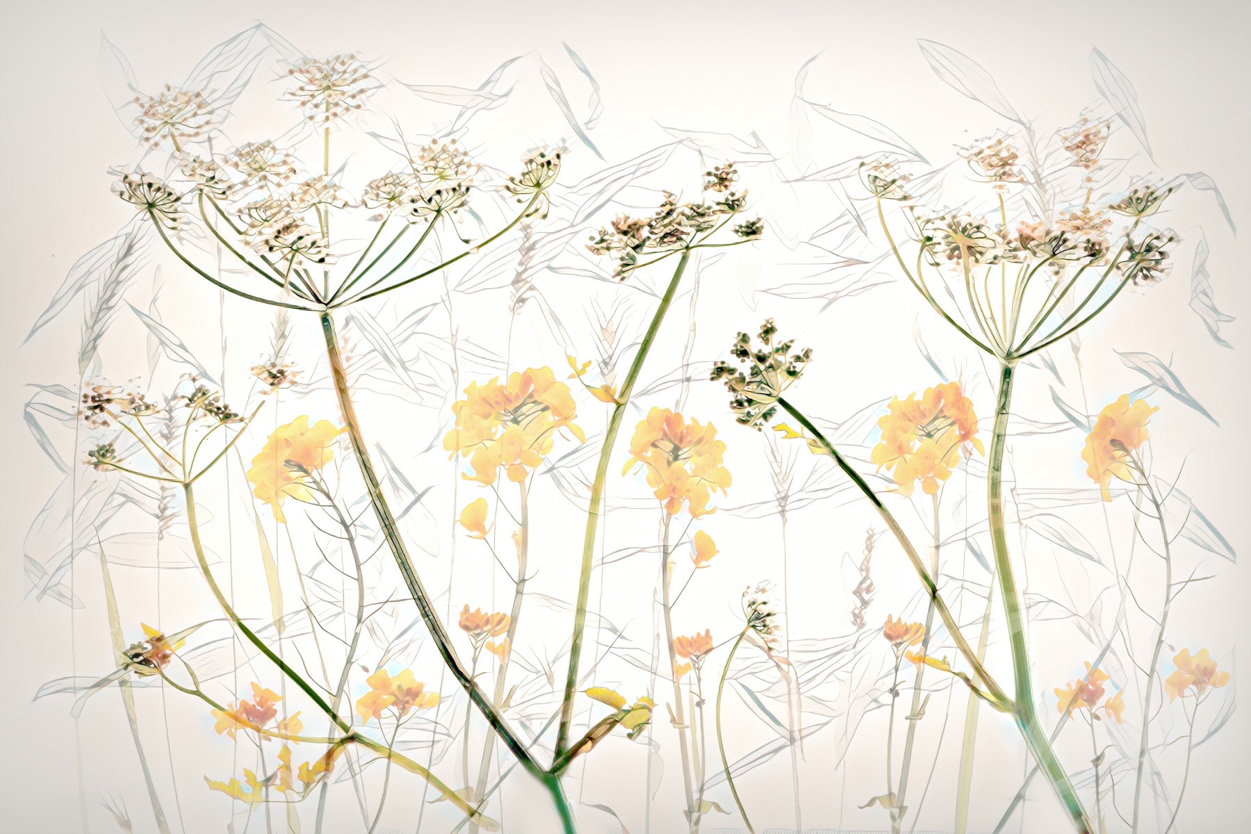 Golden Whisper Floral Wall Mural -2503370