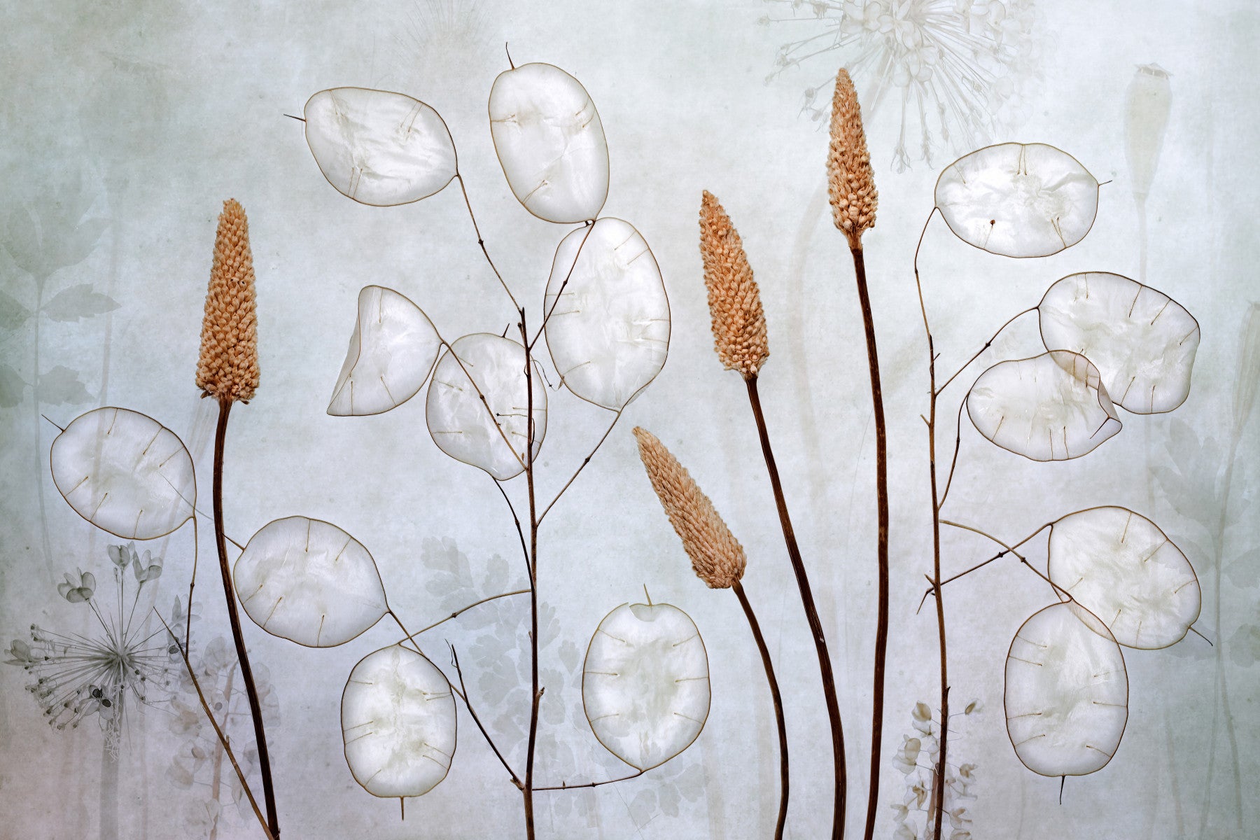 A graceful subtle leaf wall mural in cool, natural tones.

