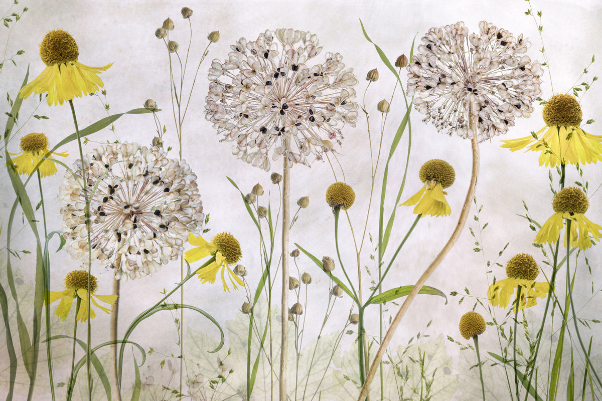 Sunshine Bloom Wall Mural -1092592
