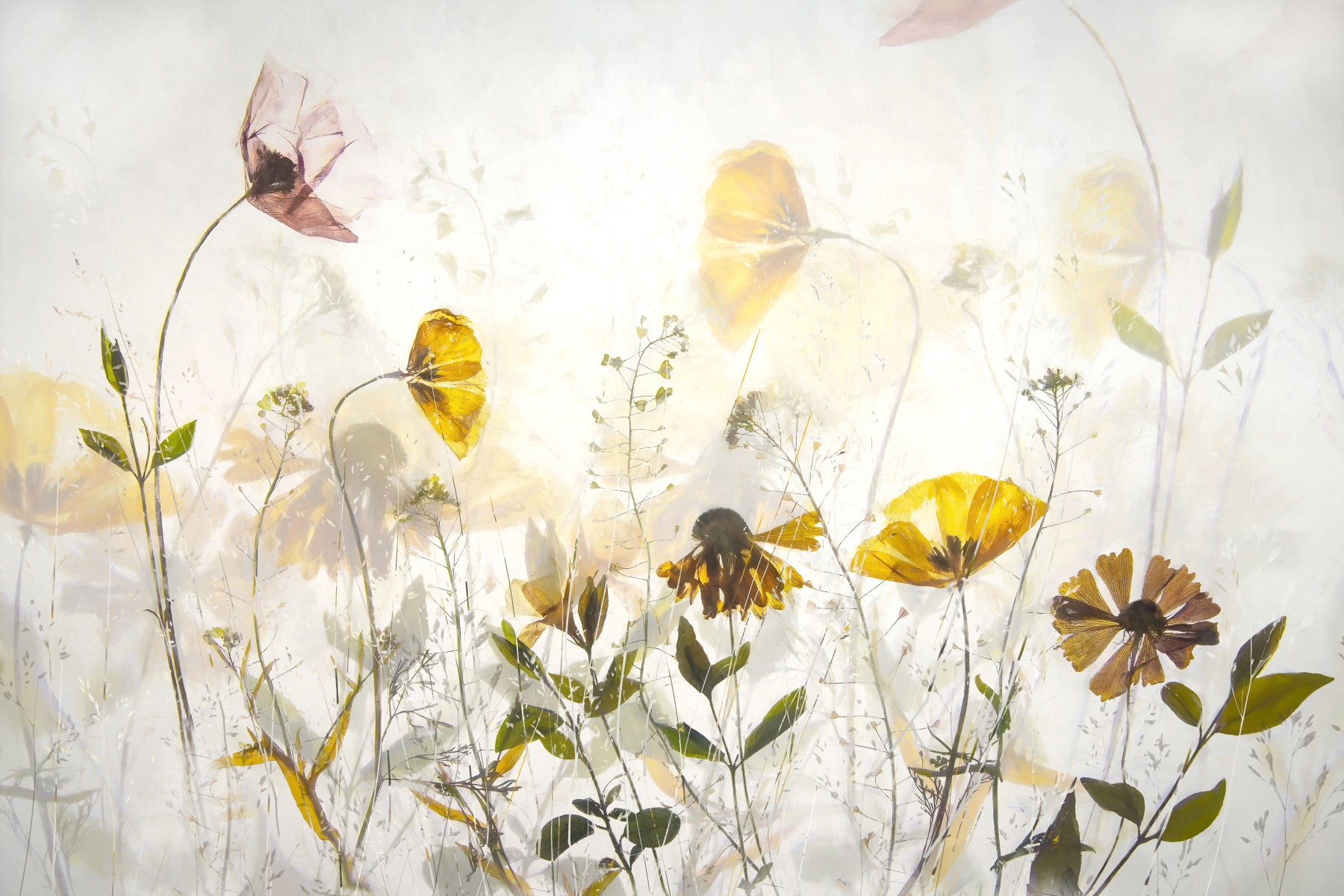 Translucent Floral Haze Wall Mural -1840020 in your room — zoomed