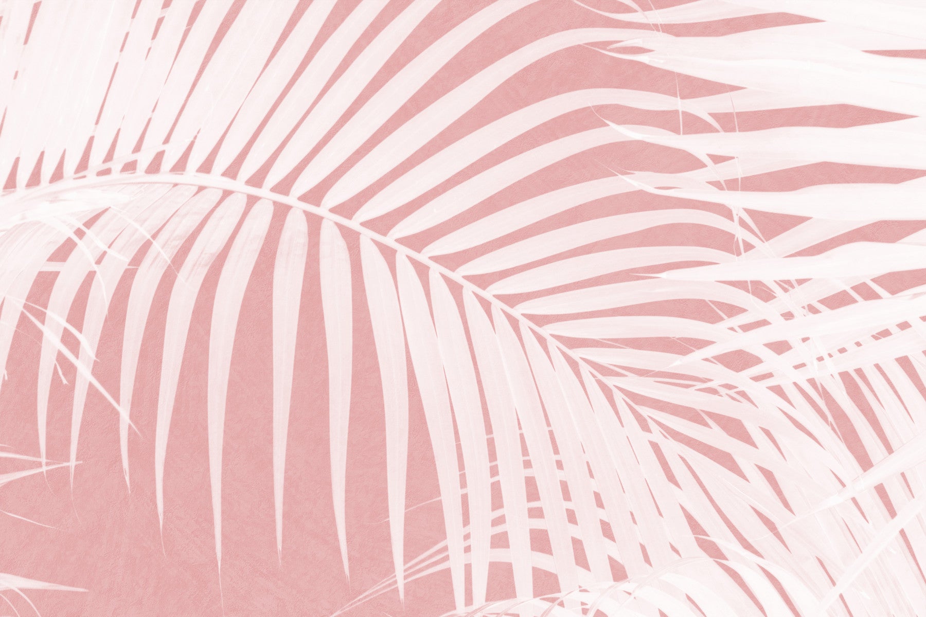 A serene tropical foliage wall mural for vibrant decor.

