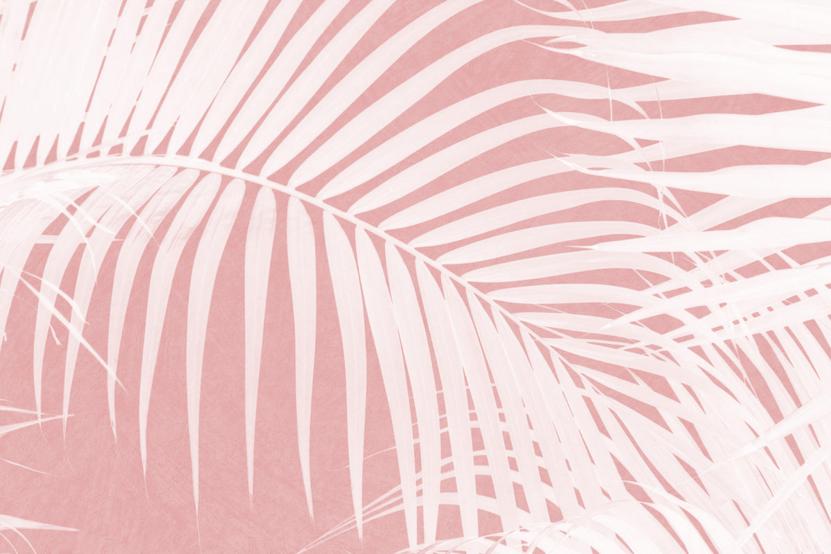 Palm Blush Wall Mural -2584043 in your room