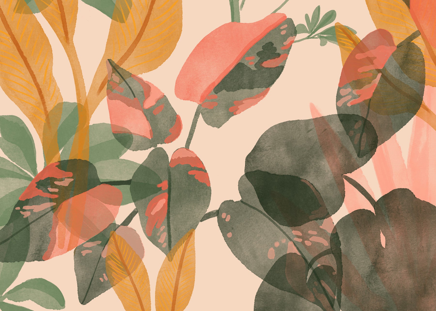 Blush Botanical Wall Mural - 2861673