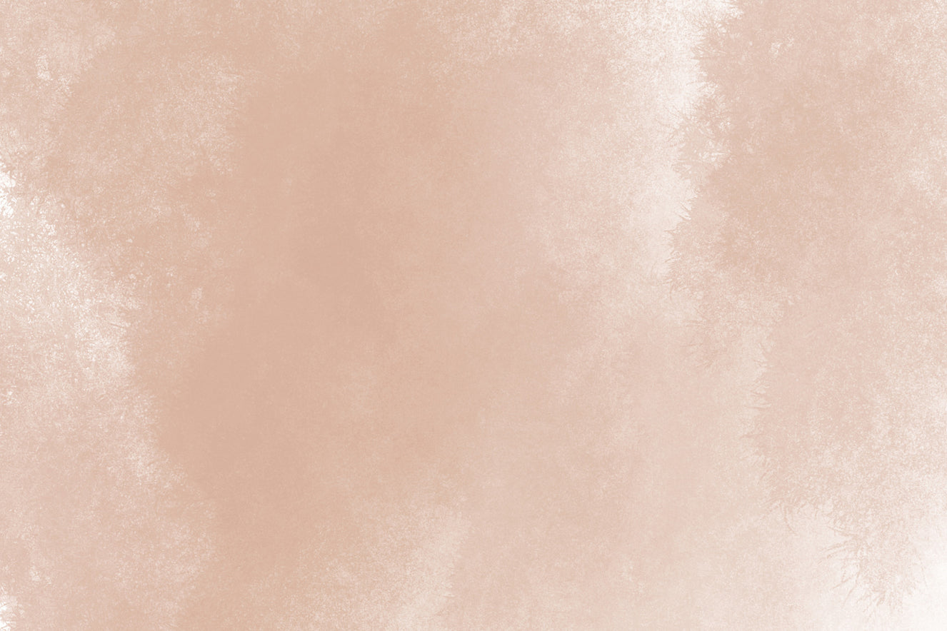 Terracotta Whisper Wall Mural - 2417847