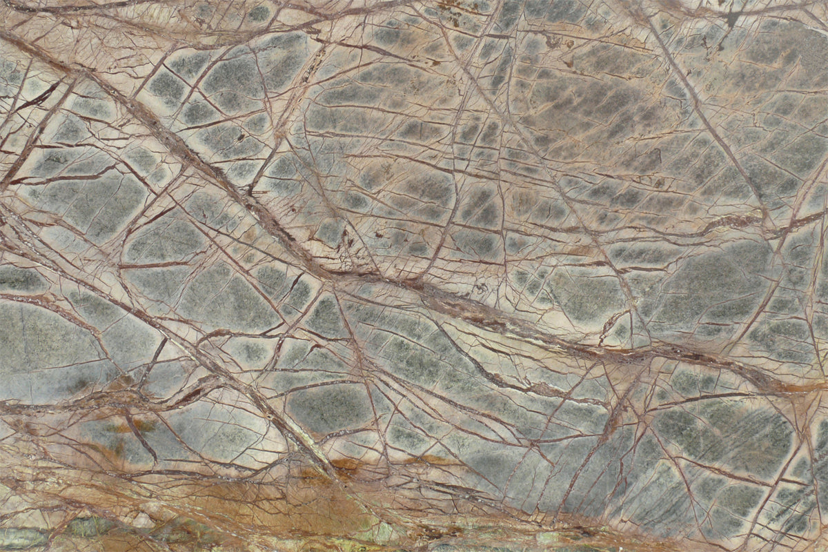 Forest Floor Marble Wall Mural - 2579764