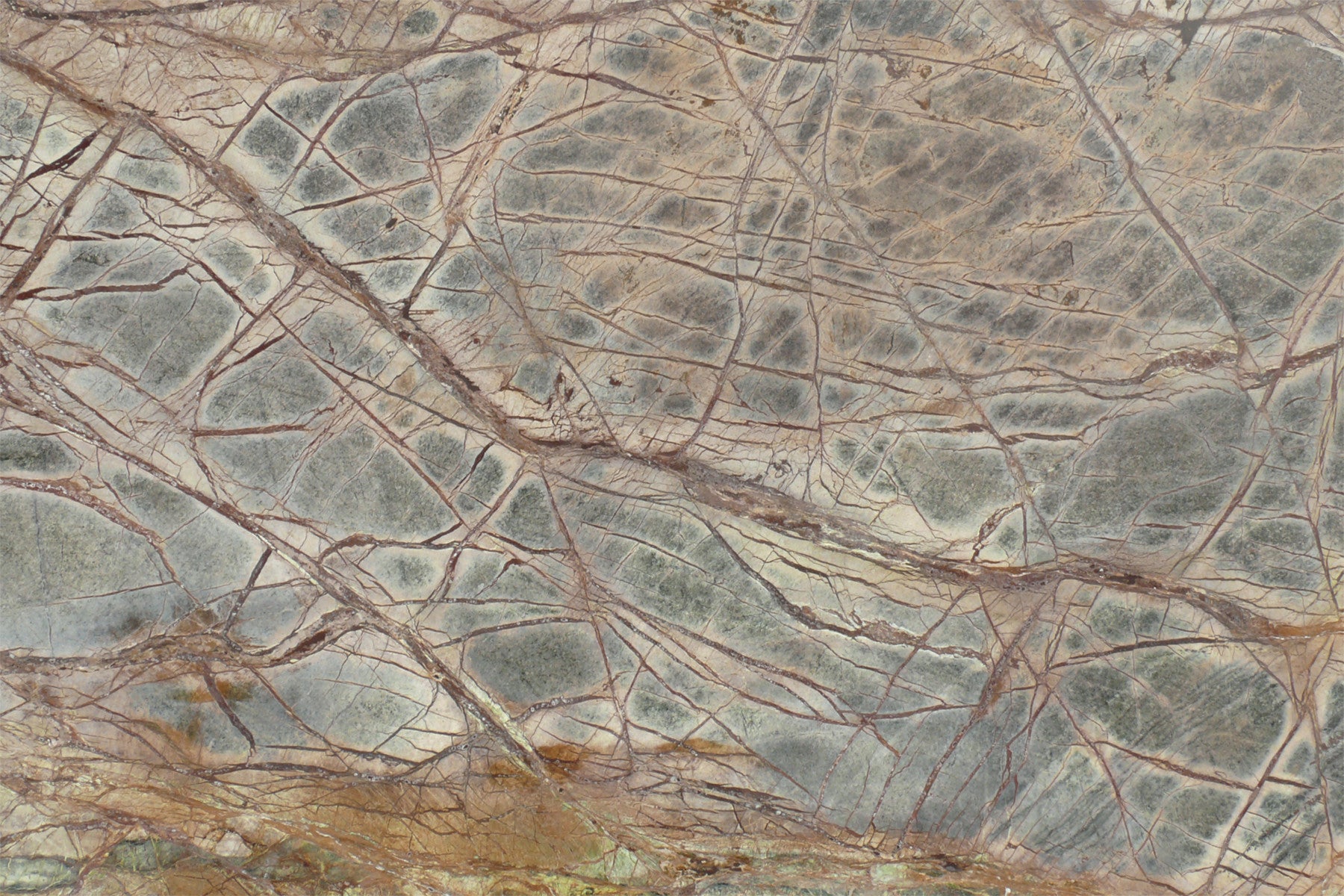 Forest Floor Marble Wall Mural - 2579764 in your room — zoomed