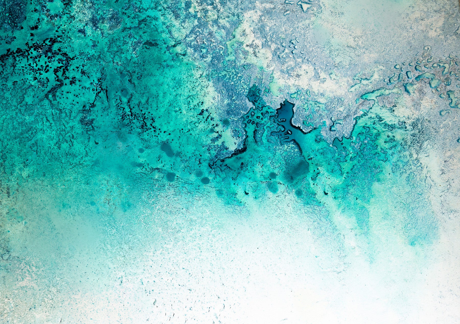 Teal Tides Wall Mural - 2732158