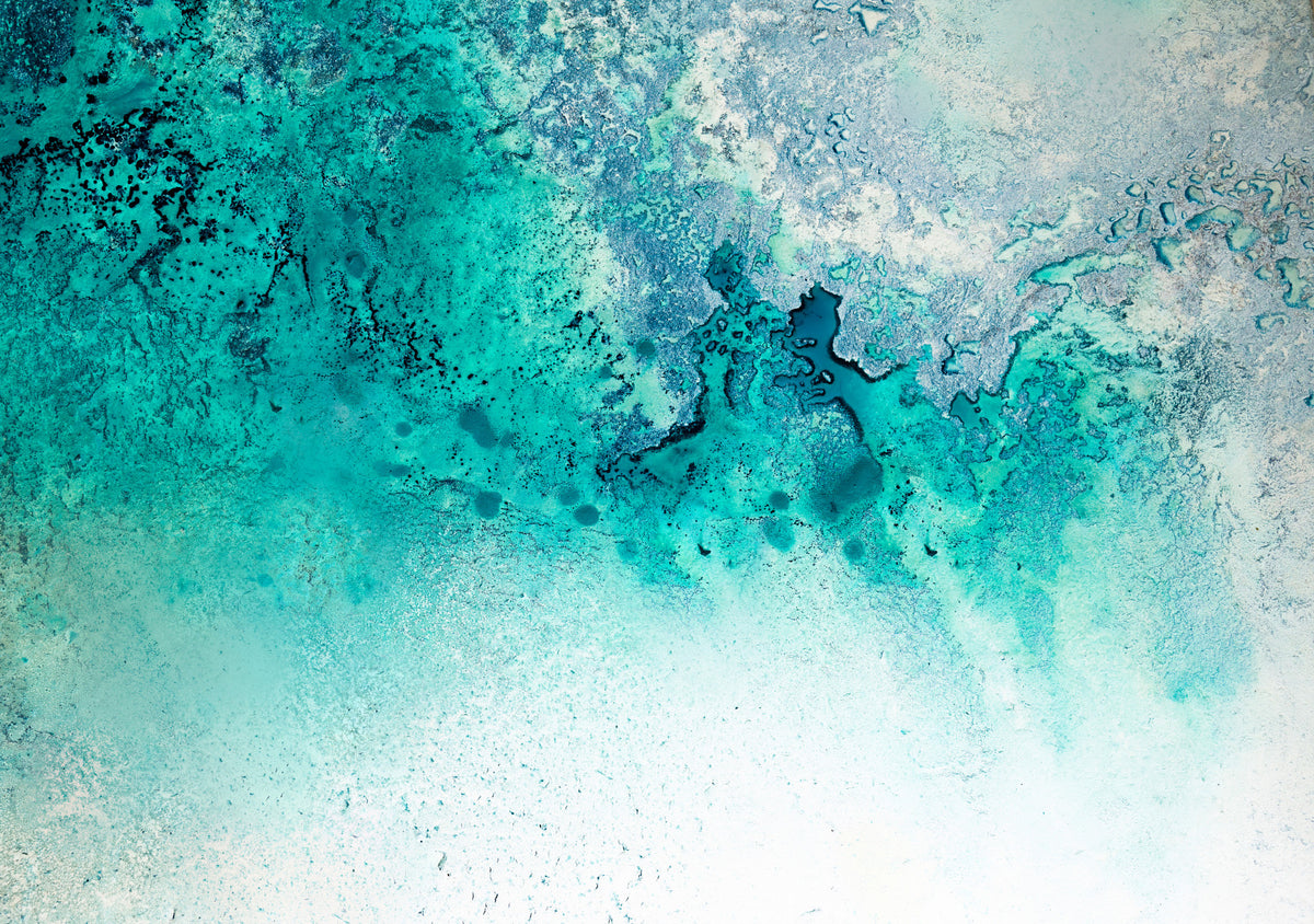 Teal Tides Wall Mural - 2732158 in your room — zoomed