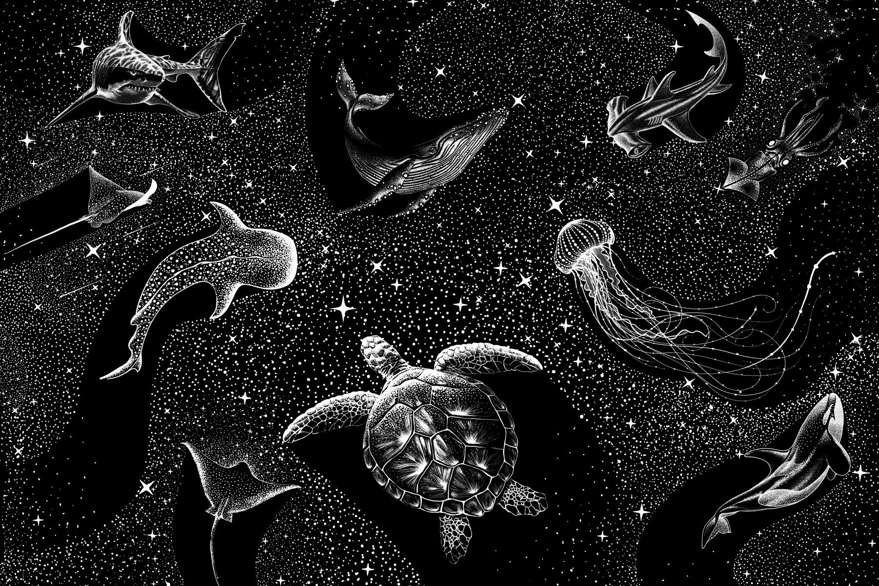 Deep Sea Stars Wall Mural - 2745814