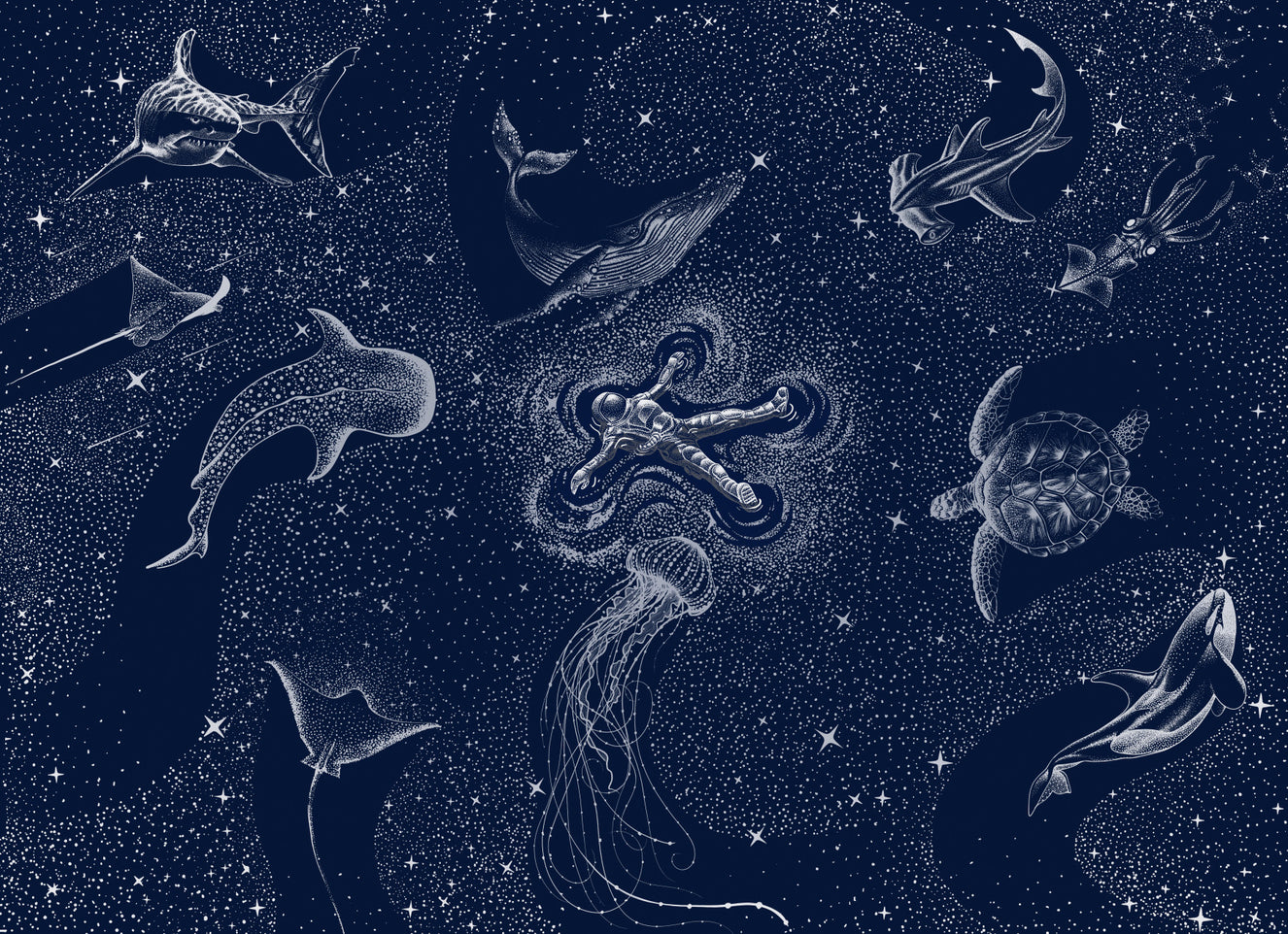 Astral Sea Wall Mural - 2745722