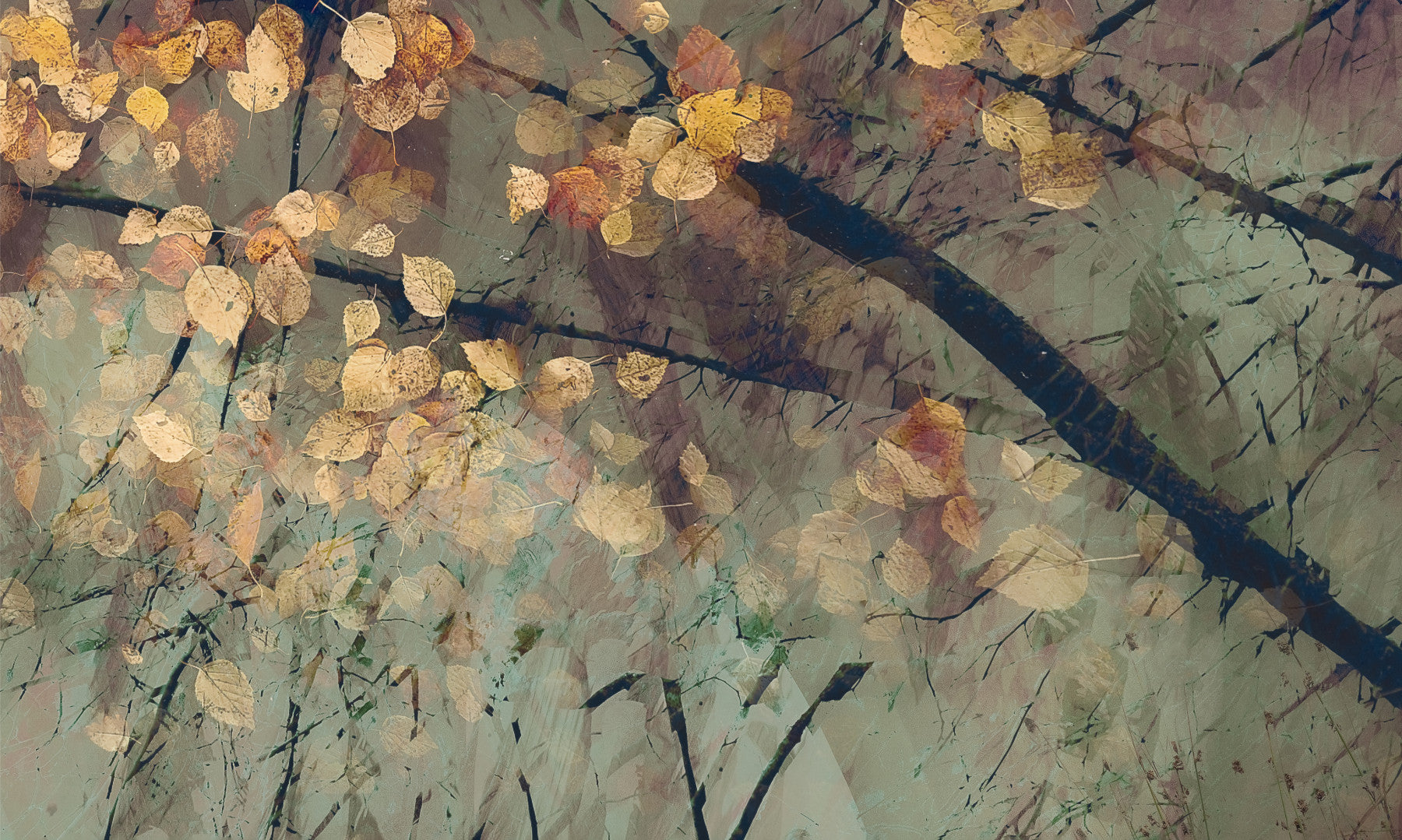 Autumn's Tranquil Reflection Wall Mural used in a narrow flat hallway to add depth.