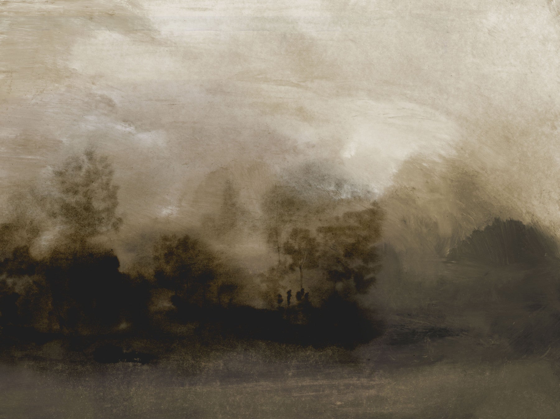 Misty Woods Wall Mural -2887039