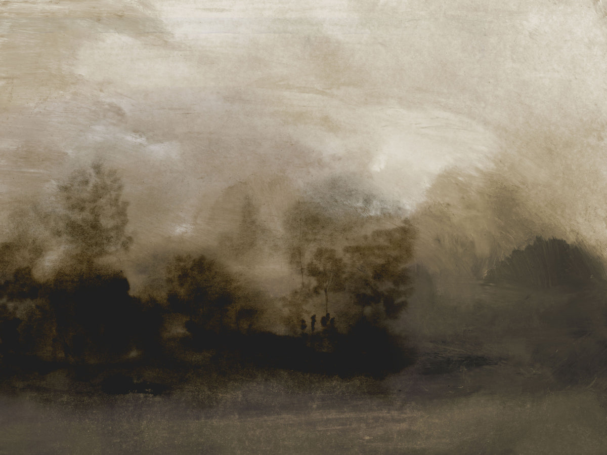 Misty Woods Wall Mural -2887039 in your room — zoomed