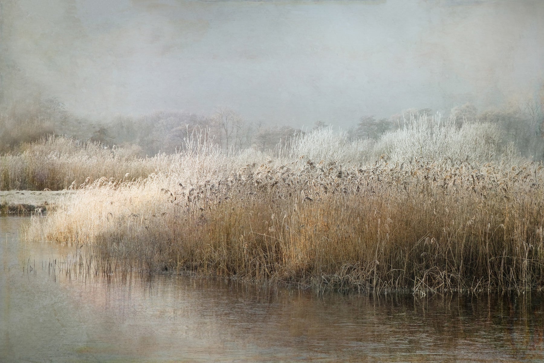 A beautiful frosty riverbank wallpaper mural with winter trees.