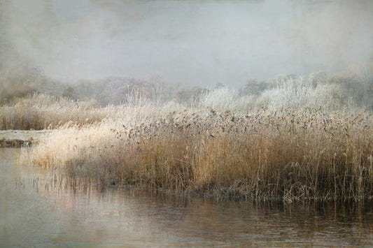 Frosty Riverbank Wall Mural -1649227