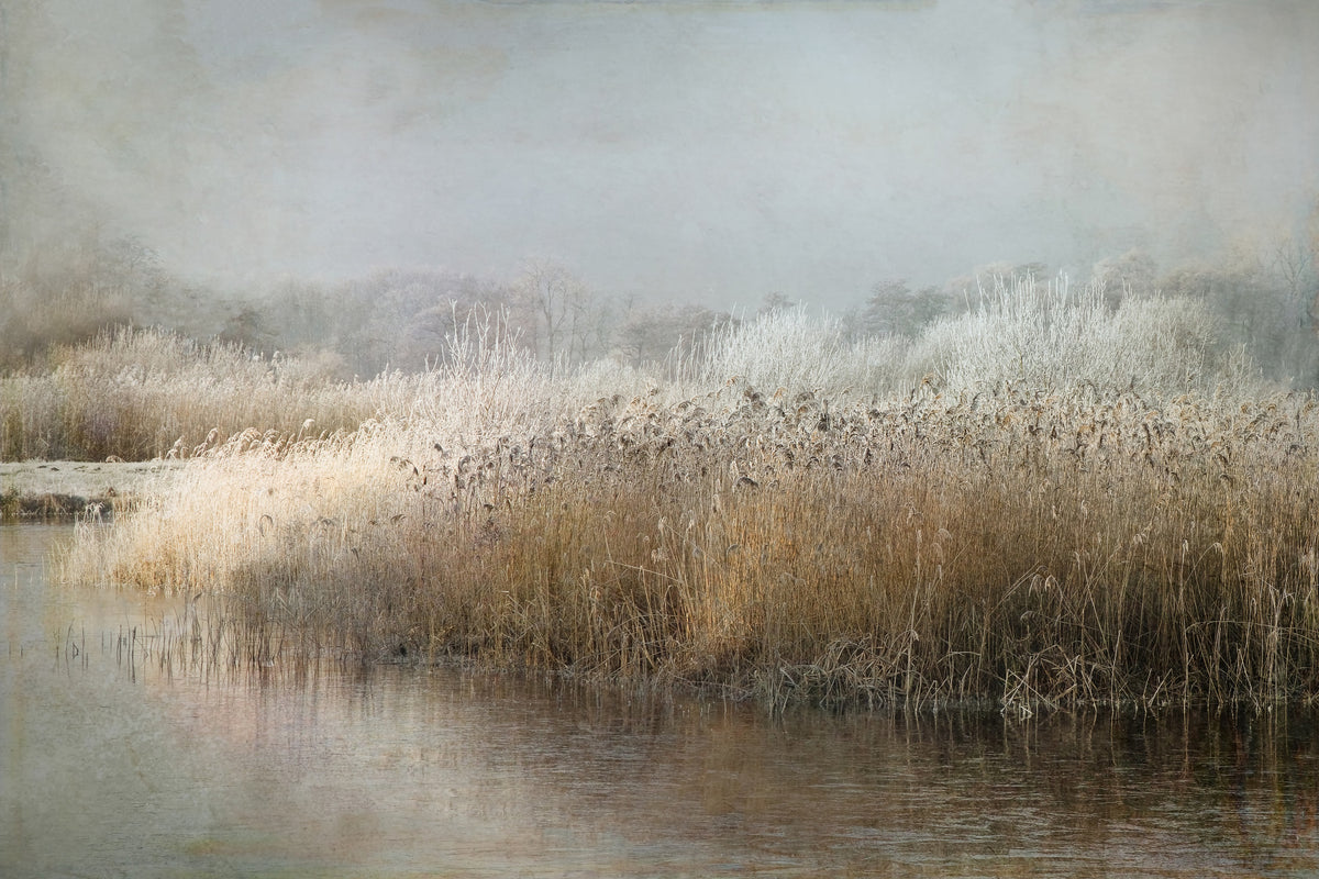 Frosty Riverbank Wall Mural -1649227 in your room — zoomed