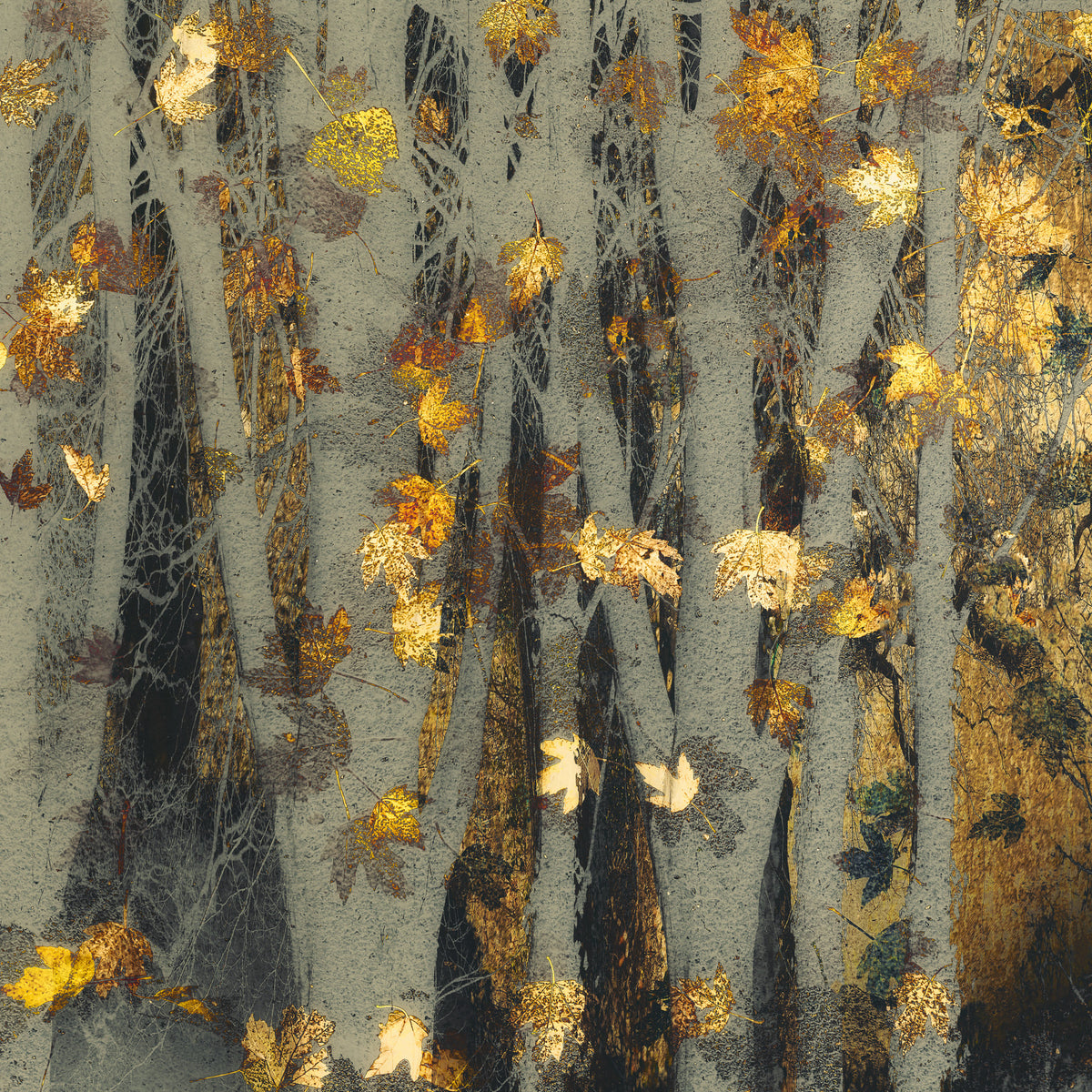 Gilded Autumn Woods Wall Mural -2163434 in your room — zoomed