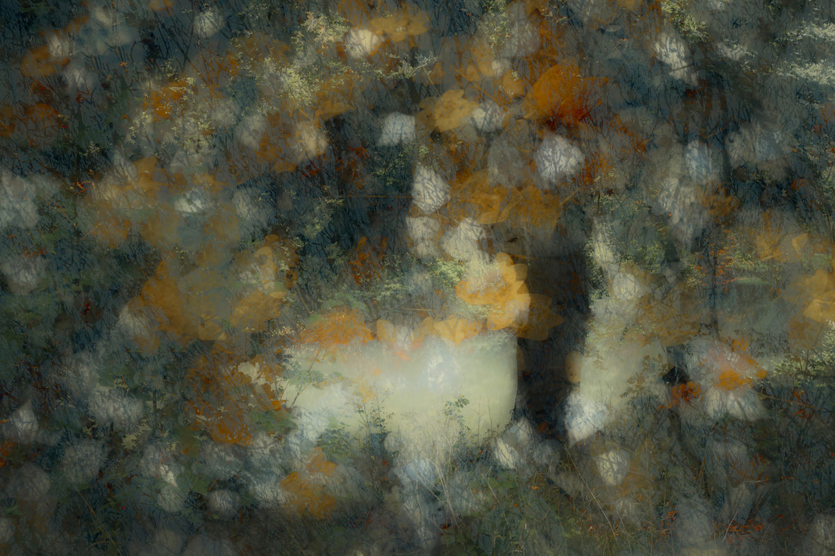 Ethereal Autumn Haze Wall Mural - 1785266