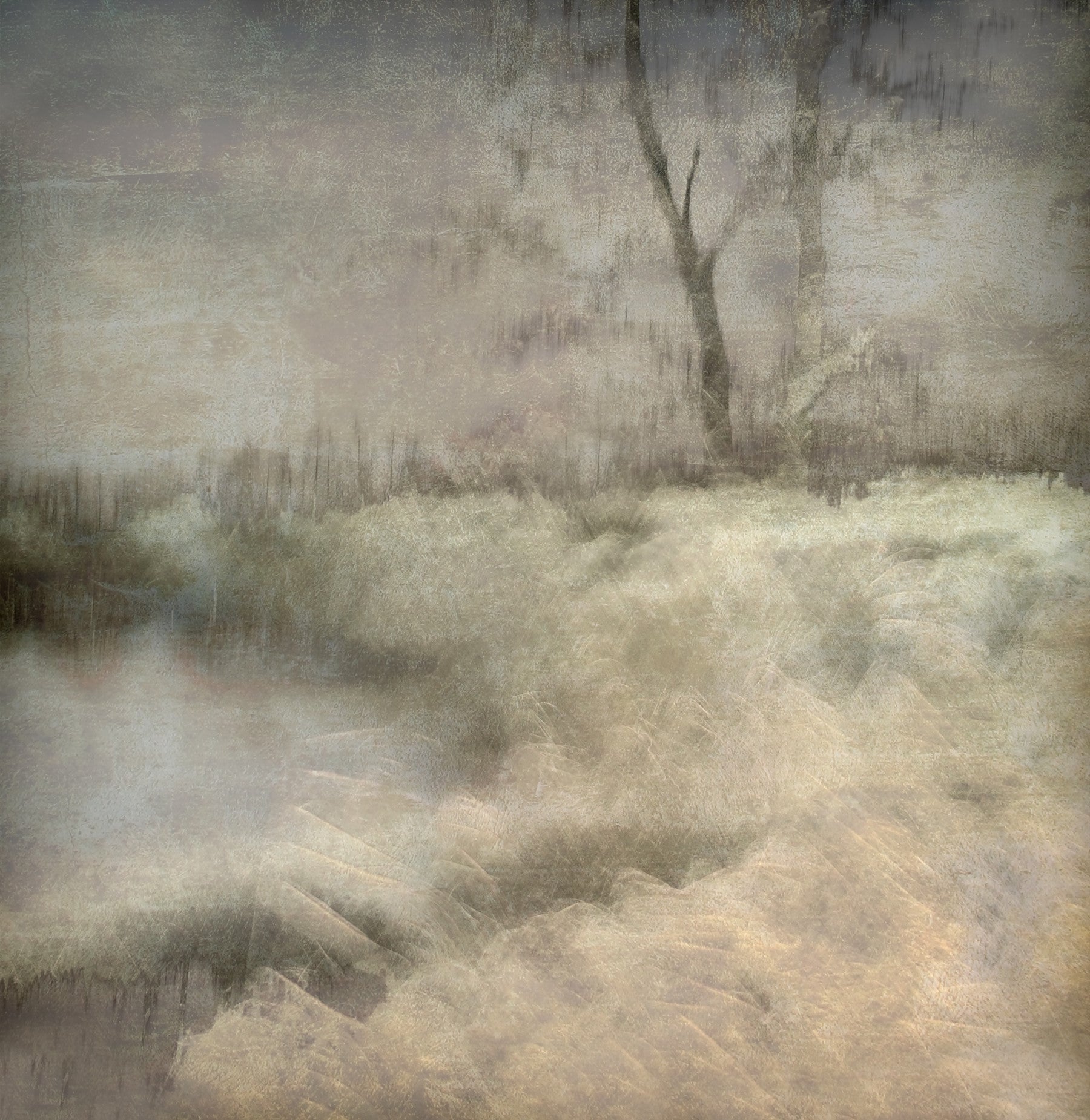 Ethereal Whispers Wall Mural - 1456915