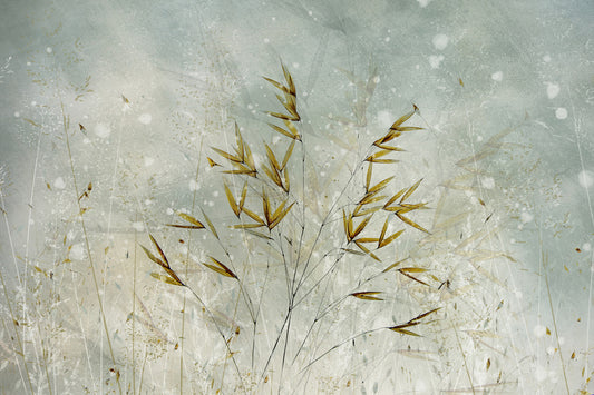 Whispering Grass Wall Mural - 1911337