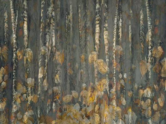 Birchwood's Embrace Wall Mural - 2382515