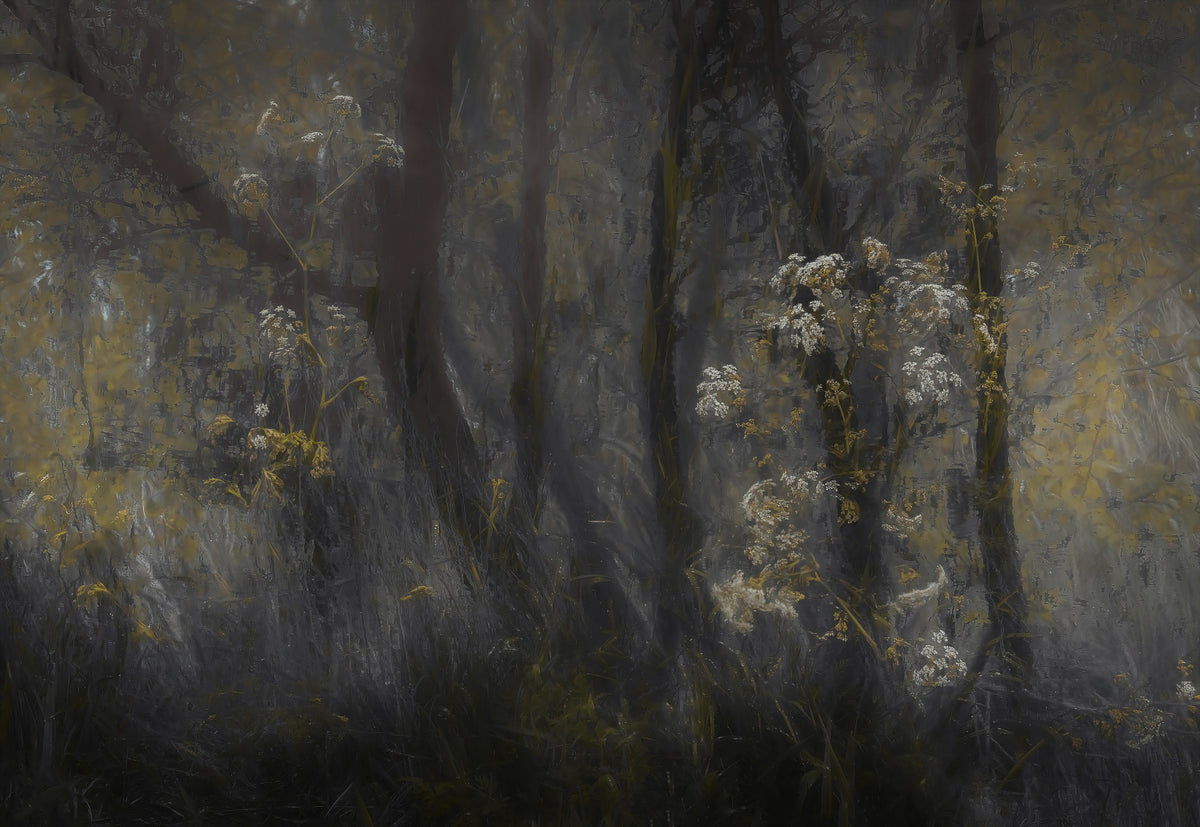 Ethereal Forest Whisper Wall Mural - 1689164 in your room — zoomed
