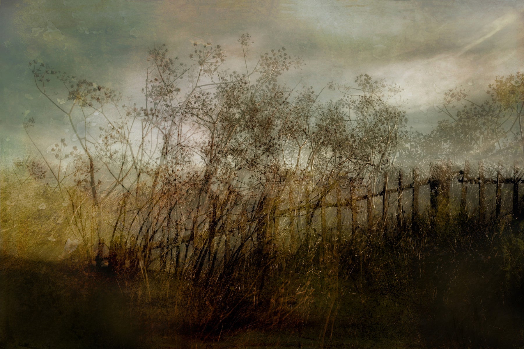 Wisp Haze Wall Mural - GD5609 - 1590772