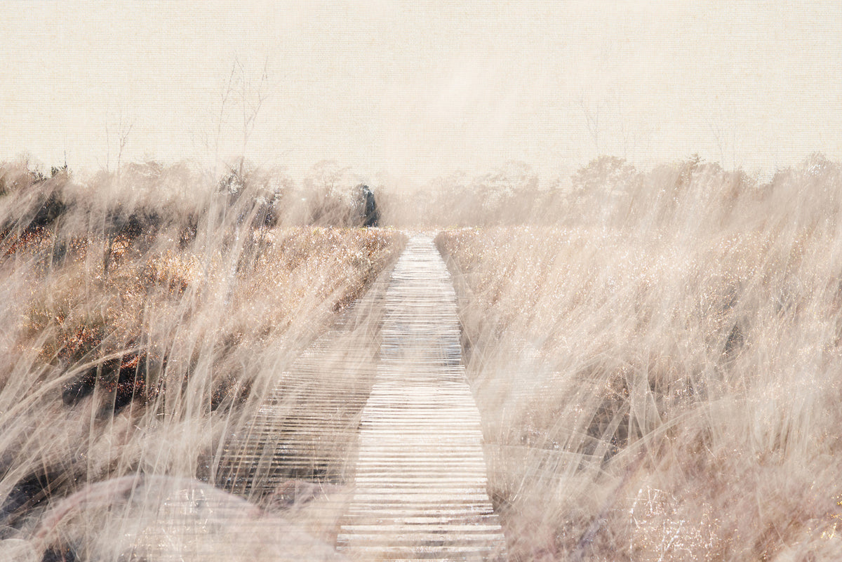 Whispers of the Marsh Path Wall Mural -2679770 in your room — zoomed