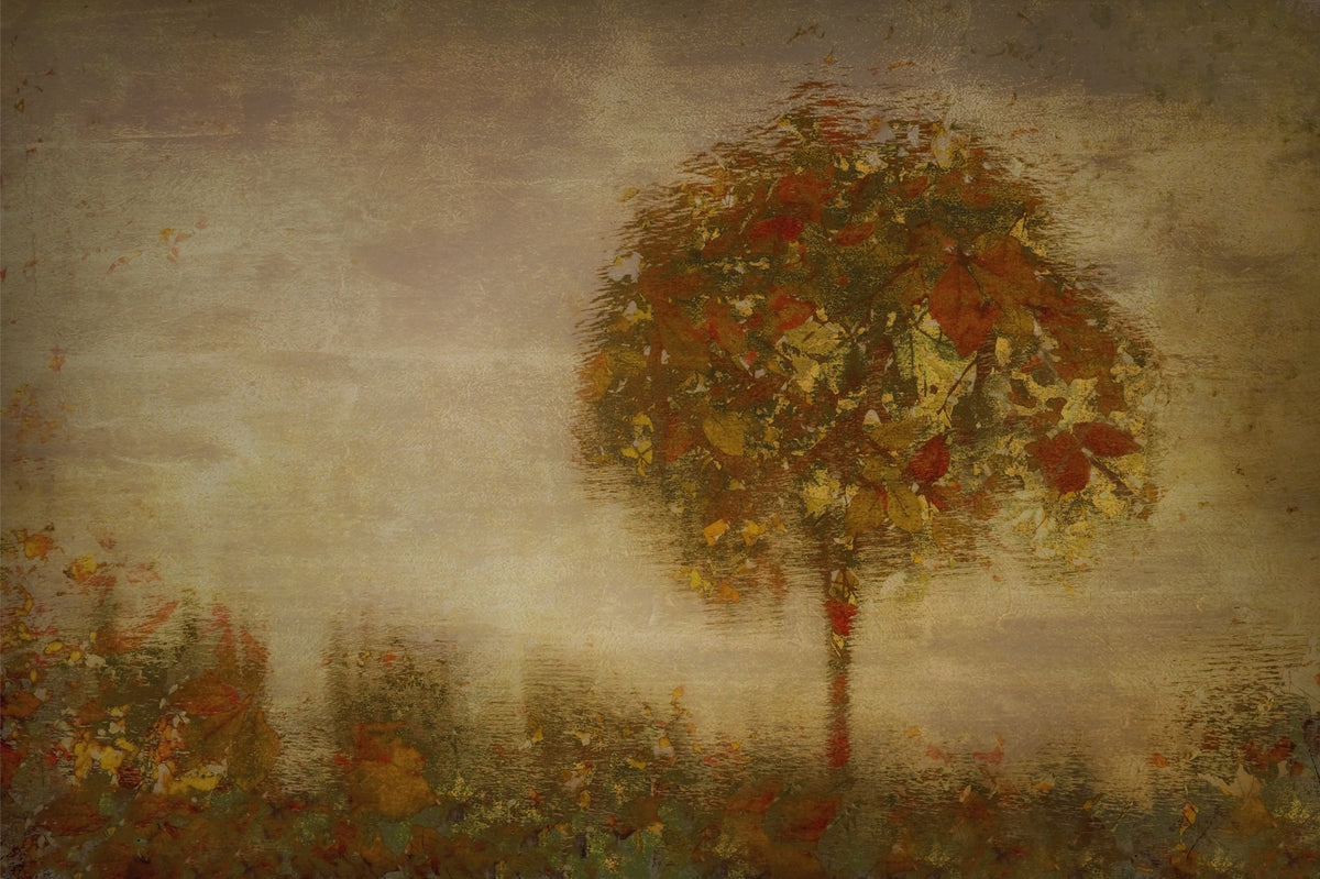 Autumnal Hues Wall Mural -1457825 in your room